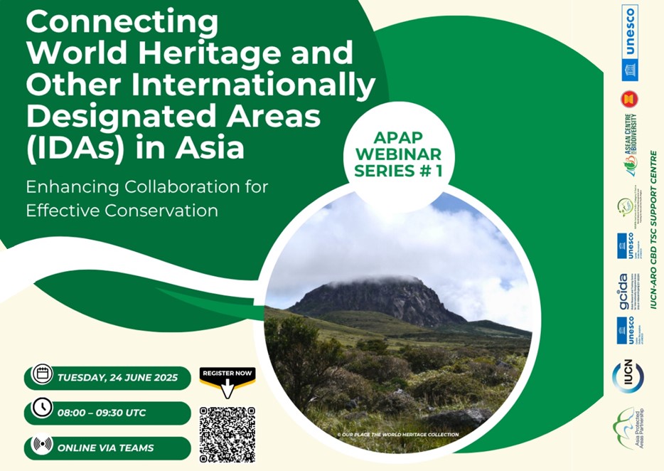 APAP Webinar